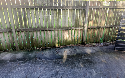 Brisbane Exterior Clean fence wash