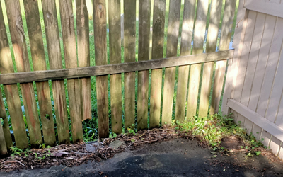 Brisbane Exterior Clean fence wash