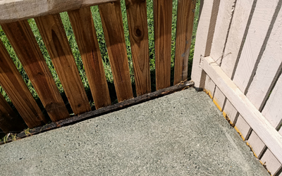 Brisbane Exterior Clean fence wash